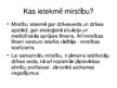 Презентация 'Latvijas demogrāfiskais stāvoklis', 14.