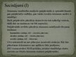 Презентация 'Dzimumu vienlīdzība Latvijas studentu pārstāvniecībā', 10.