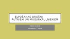 Презентация 'Elpošana putniem un mugurkauliniekiem', 1.