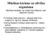 Презентация 'Mūzikas terapija', 15.
