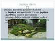 Презентация 'Senās Japānas kultūras izpausmes mūsdienu Latvijā', 2.