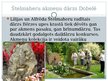 Презентация 'Senās Japānas kultūras izpausmes mūsdienu Latvijā', 7.