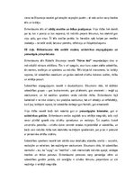 Эссе 'Birkenbauma tēls Rūdolfa Blaumaņa novelē “Nāves ēnā”: psiholoģiskā, sociālā un s', 3.