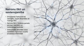 Презентация 'Vai smadzenes spēj pārveidoties pēc traumas vai insulta', 5.
