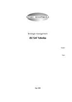Реферат 'Strategic Management in JSC "SAF Tehnika"', 2.