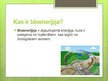 Презентация 'Bioenerģijas resursi', 2.