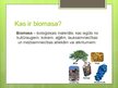 Презентация 'Bioenerģijas resursi', 3.