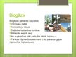 Презентация 'Bioenerģijas resursi', 5.