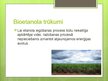 Презентация 'Bioenerģijas resursi', 11.