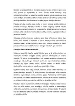 Эссе 'Filozofija: cilvēka eksistence un domāšana mūsdienu un nākotnes perspektīvā', 3.