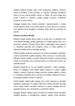 Эссе 'Filozofija: cilvēka eksistence un domāšana mūsdienu un nākotnes perspektīvā', 4.