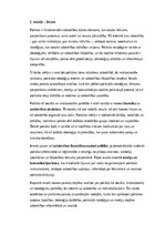 Конспект 'Politika mūsdienu sabiedrībā: loma, ietekme un attīstības perspektīvas', 1.