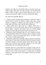 Реферат 'Analīze – kāds līderis būtu pats students', 4.