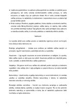 Реферат 'Analīze – kāds līderis būtu pats students', 6.