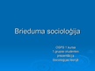 Реферат 'Brieduma socioloģija', 13.