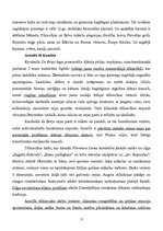 Конспект 'Itālijas māksla un arhitektūra viduslaikos', 11.
