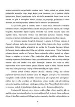 Конспект 'Itālijas māksla un arhitektūra viduslaikos', 39.