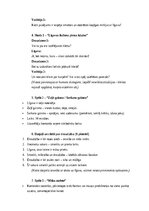 Образец документа 'Vecmeitu ballītes scenārijs: jautrība, draudzība un neaizmirstami mirkļi”', 2.