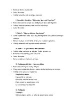 Образец документа 'Vecmeitu ballītes scenārijs: jautrība, draudzība un neaizmirstami mirkļi”', 3.