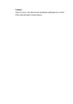 Образец документа 'Vecmeitu ballītes scenārijs: jautrība, draudzība un neaizmirstami mirkļi”', 4.