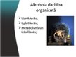 Презентация 'Alkohola iedarbība uz cilvēka organismu', 5.