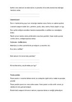 Образец документа 'Literatūra – lasīšana, izpratne un radošā domāšana', 4.