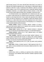 Дипломная 'Sabiedrisko attiecību instrumenti SIA "6.prāts" organizācijas kultūras veidošanā', 6.