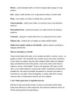 Образец документа '18. novembra svētku scenārijs skolā', 2.