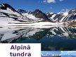 Презентация 'Tundra', 4.