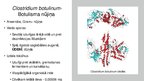 Презентация 'Ūdens piesārņojums - botulisma nūjiņa', 2.