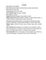 Дипломная 'Digitālo tehnoloģiju izmantošana 5-6 gadus vecu bērnu valodas attīstībai', 2.