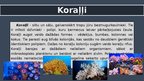 Презентация 'Ūdens ekosistēmu daudzveidība – koraļļu rifi', 3.