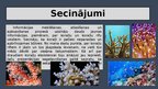 Презентация 'Ūdens ekosistēmu daudzveidība – koraļļu rifi', 12.