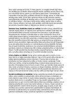 Конспект 'Vikingu vēsture, kultūra, mitoloģija, sabiedrība un kultūras mantojums', 11.