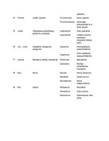 Конспект 'Terminoloģija medicīnā latīņu valodā', 13.