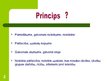 Презентация 'Civilprocesa principi', 2.