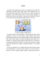 Реферат 'Sic un sic/si keramikas ražošanas metodes, izmantojot aditīvo ražošanu', 4.