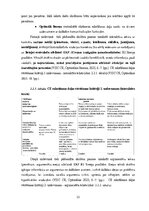 Дипломная 'Diferencēti norādījumi 5. klases skolēnu stāstu rakstīšanas prasmju attīstībai a', 22.