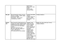 Конспект 'Patstāvīgais darbs – izvērsts dienas plānojums (Mūzikas metodikā)', 4.