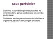 Презентация 'Garšvielas', 2.