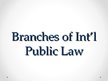 Презентация 'Branches of International Public Law', 1.