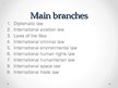 Презентация 'Branches of International Public Law', 2.