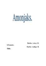 Конспект 'Amonjaks', 1.