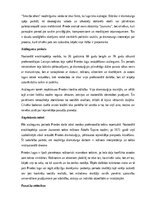 Конспект 'Gunārs Priede', 7.