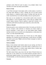 Конспект 'Gunārs Priede', 11.