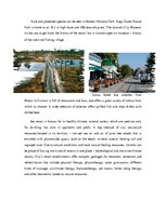 Реферат 'Tourist Destination - Resort City Jurmala', 4.