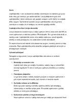 Эссе 'Uzņēmējdarbības attīstība Latvijā: izaicinājumi, iespējas un nākotnes perspektīv', 1.