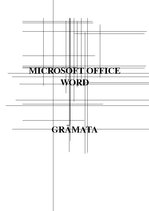 Презентация 'Grāmata par MS Word lietojumprogrammas funkciju skaidrojumiem', 1.