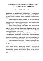 Дипломная 'Radošās darbības sekmēšanas iespējas rokdarbos 5-6 gadus veciem bērniem', 7.