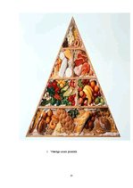 Реферат 'Pilnvērtīgas pārtikas sastāvs. Pārtikas piramīda', 13.